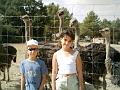 2004-08 Autruches 004